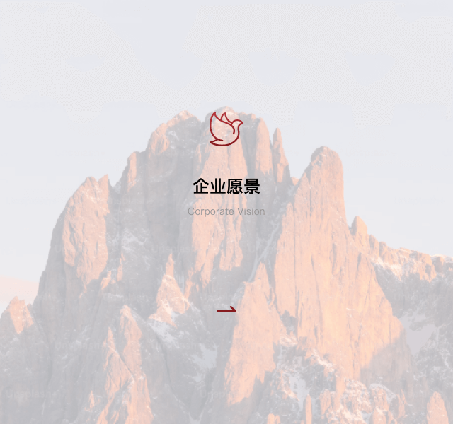 企业愿景